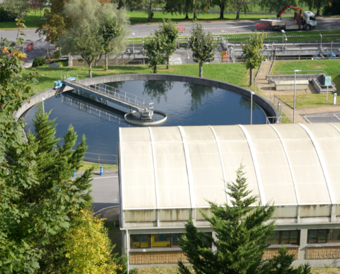 C7481.MP4.00_00_04_06.Imagen fija001